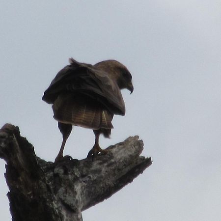 Manzini Chalet No 34 Saint Lucia Estuary 外观 照片