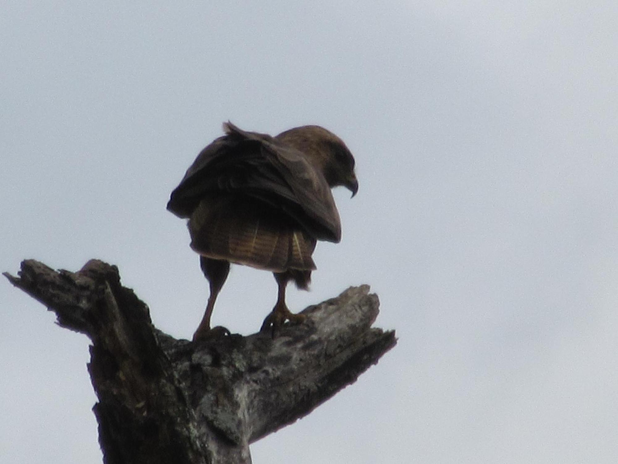Manzini Chalet No 34 Saint Lucia Estuary 外观 照片
